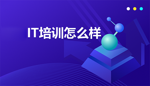 学到牛牛IT培训机构怎么样